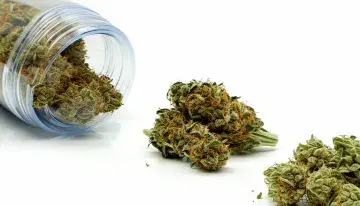 Reno's First Medical Dispensary Opens With Appointments, Not Walk-Ins